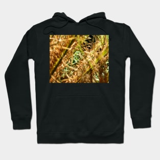 Deep in the Ferns Hoodie